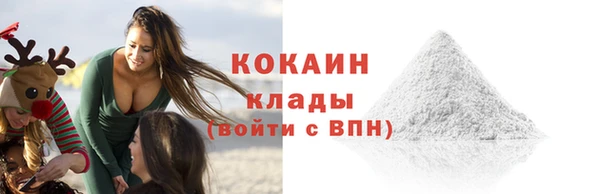 прущие грибы Балахна