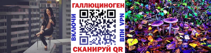 Псилоцибиновые грибы Psilocybe  Малмыж 